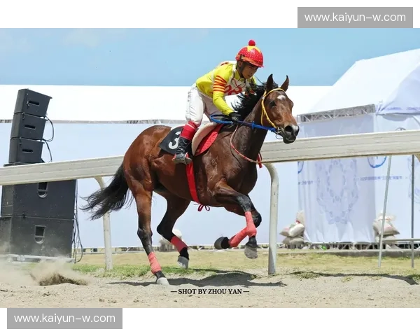 赛马赛程里的速度与期待